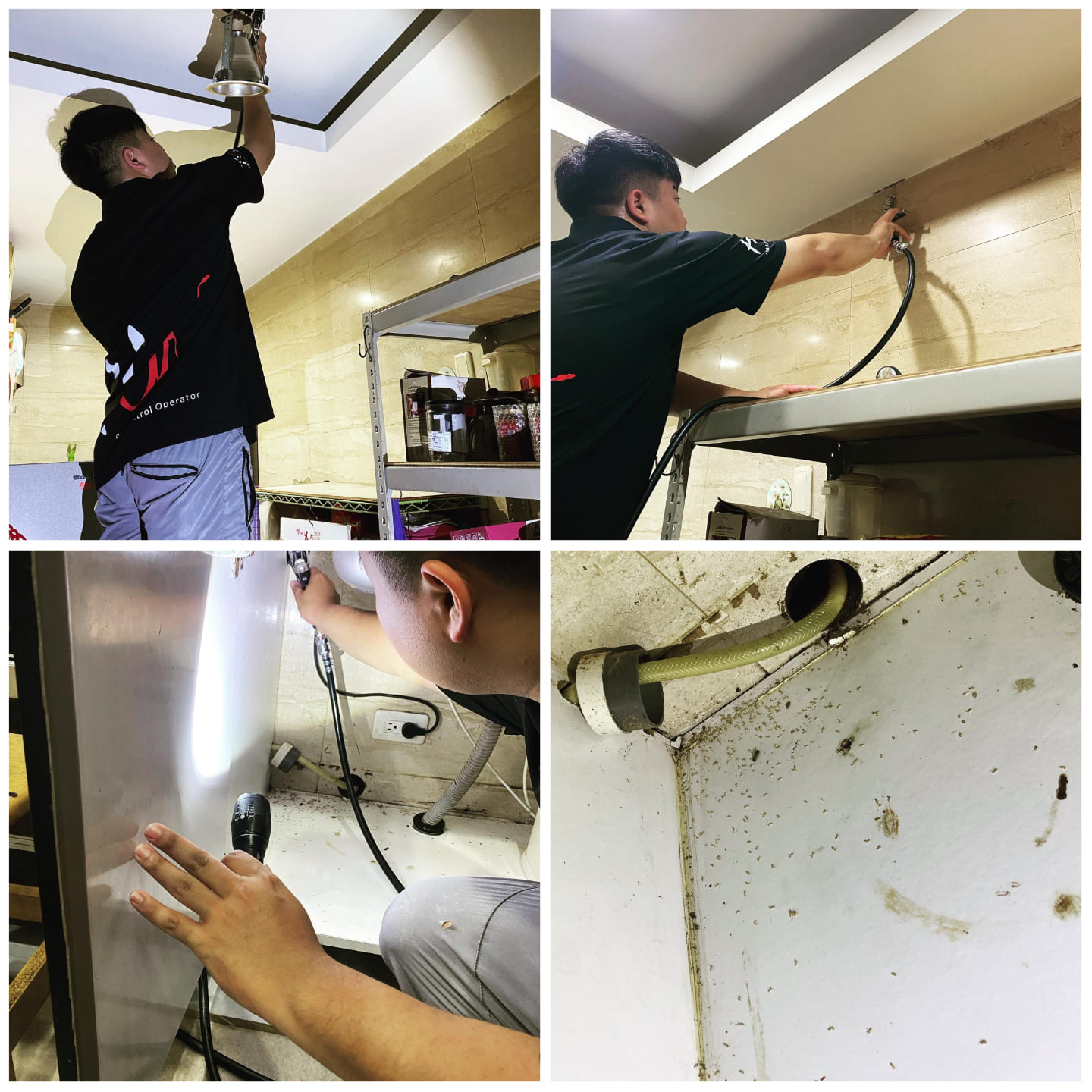 Ho消毒有限公司的實際案例圖片