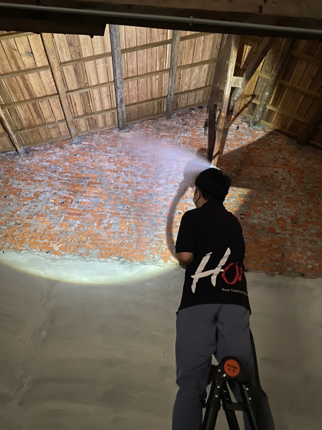 Ho消毒有限公司的實際案例圖片