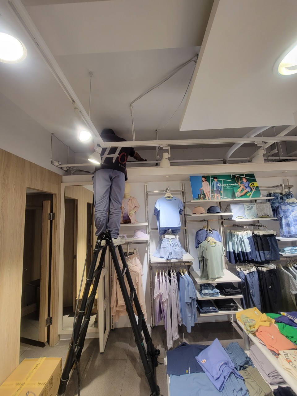 20230531營業場所白蟻防治的第3張圖片