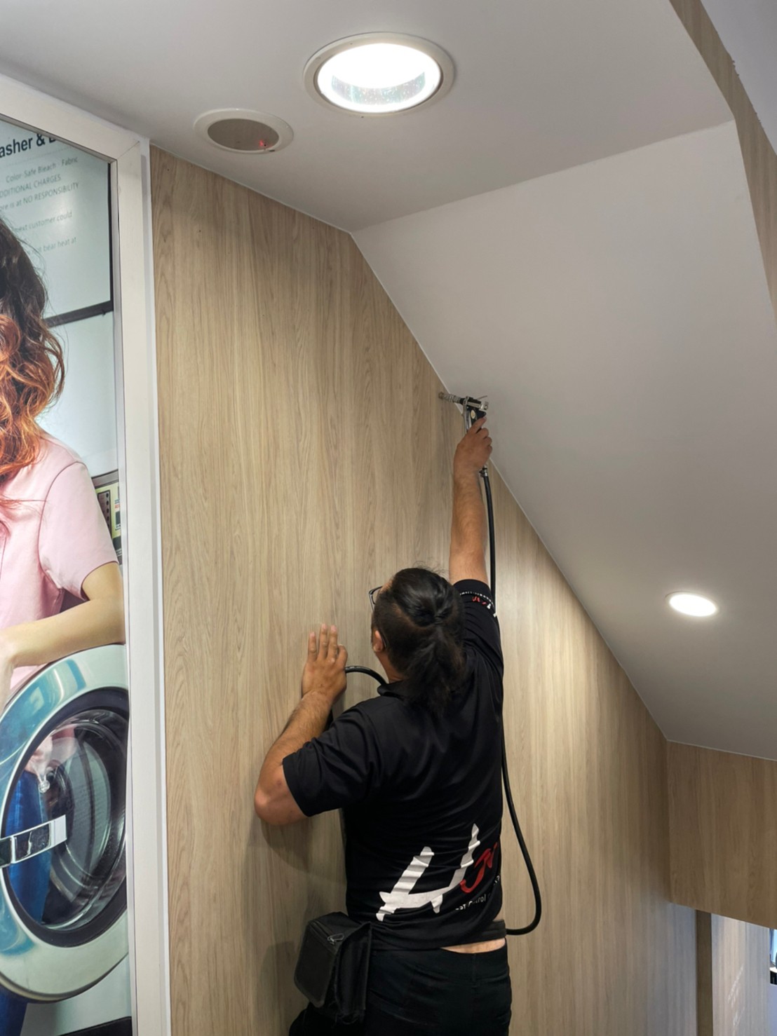 20230531營業場所白蟻防治的第4張圖片