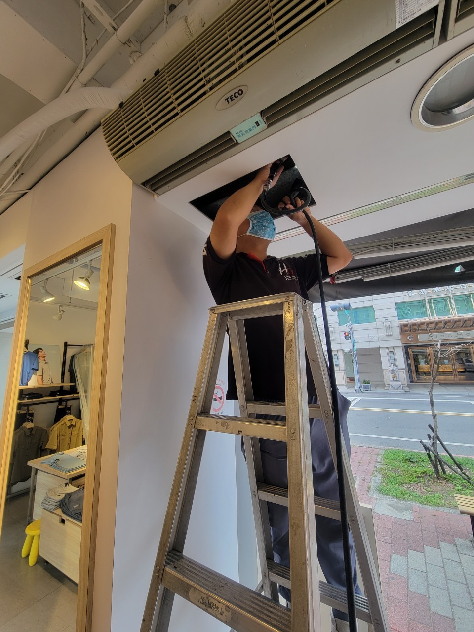 20230531營業場所白蟻防治的第5張圖片