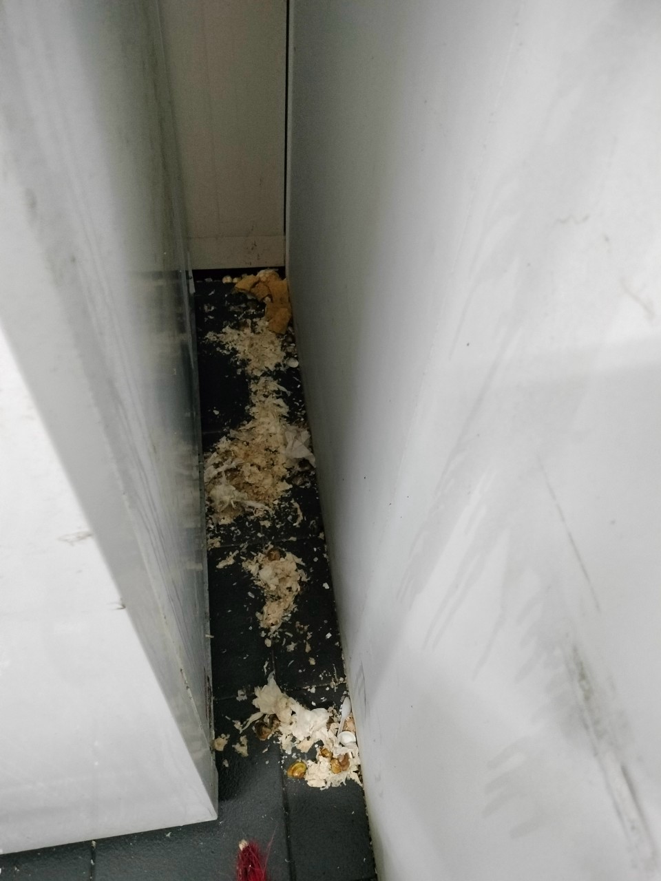 20250319餐廳消毒的第2張圖片