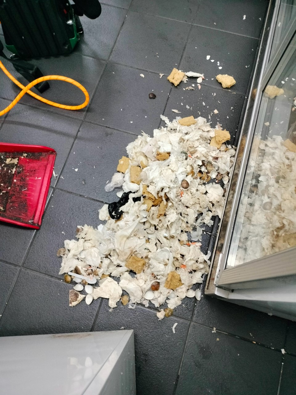 20250319餐廳消毒的第4張圖片