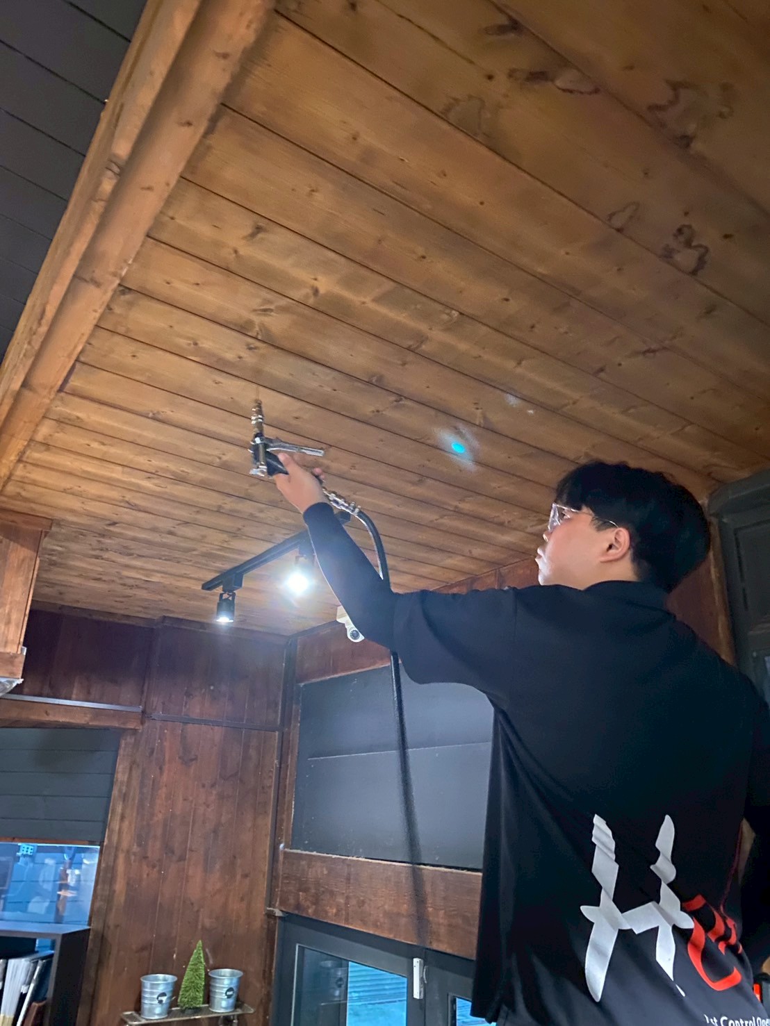 20250526_餐廳白蟻防治的第2張圖片