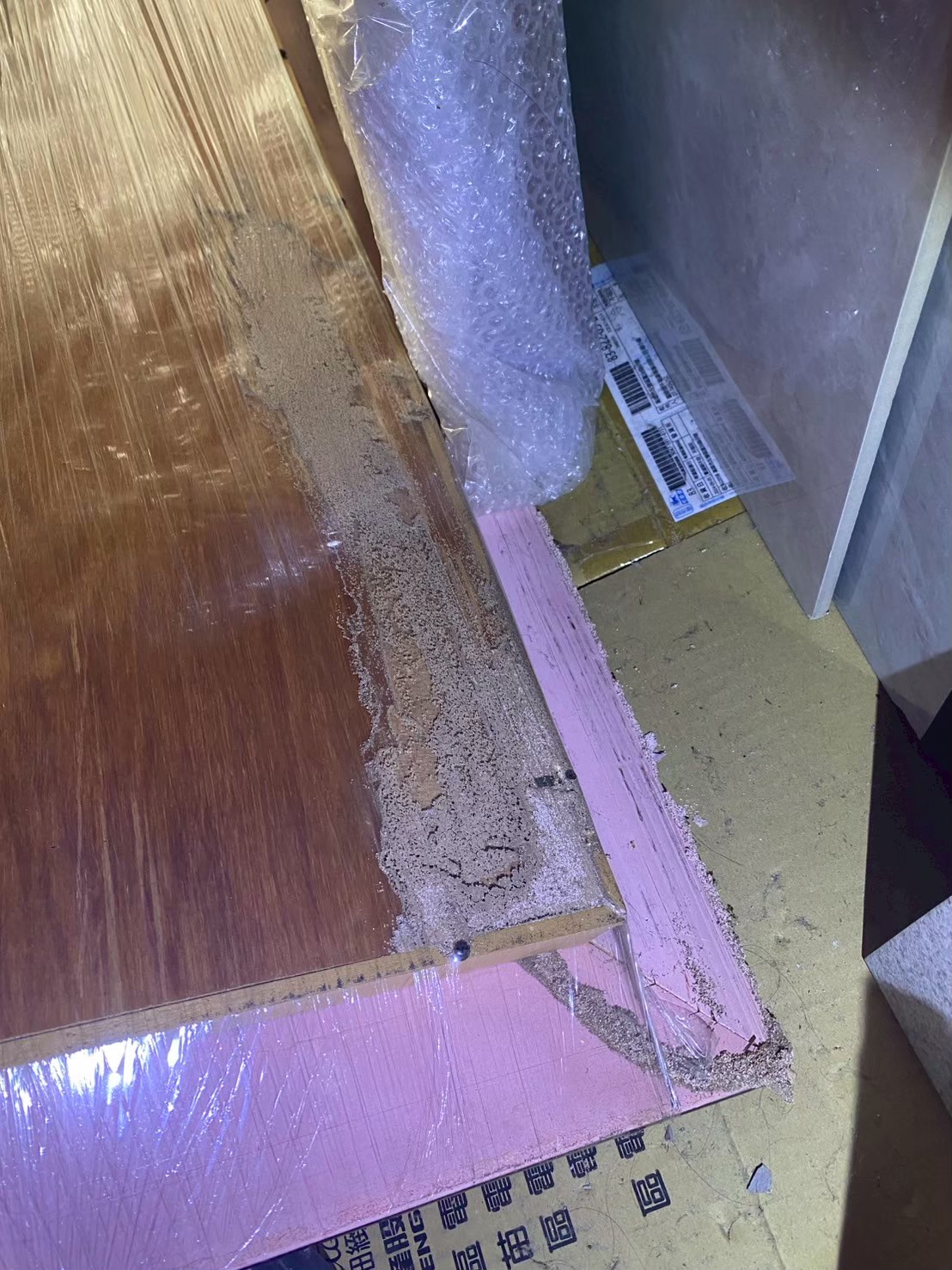 20250724_辦公室白蟻防治的第6張圖片