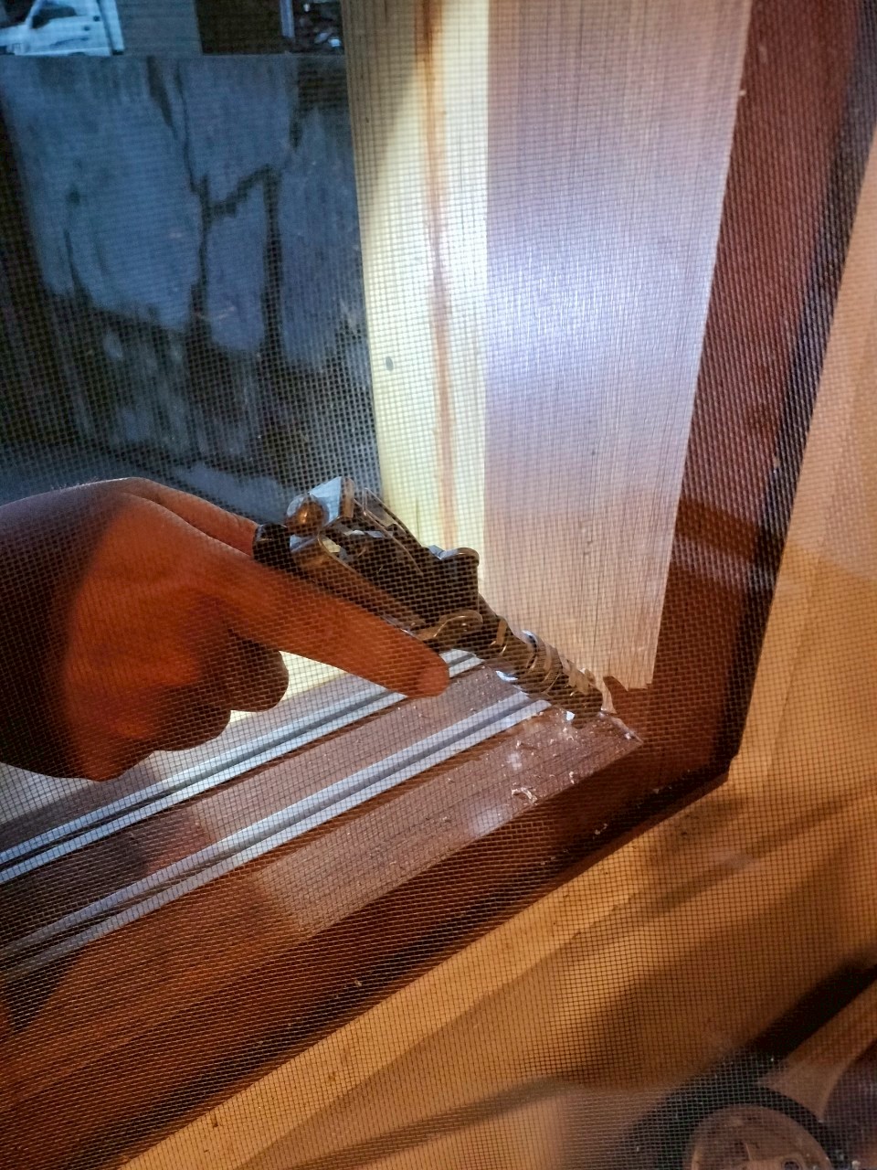 20250728_餐廳白蟻防治的第3張圖片