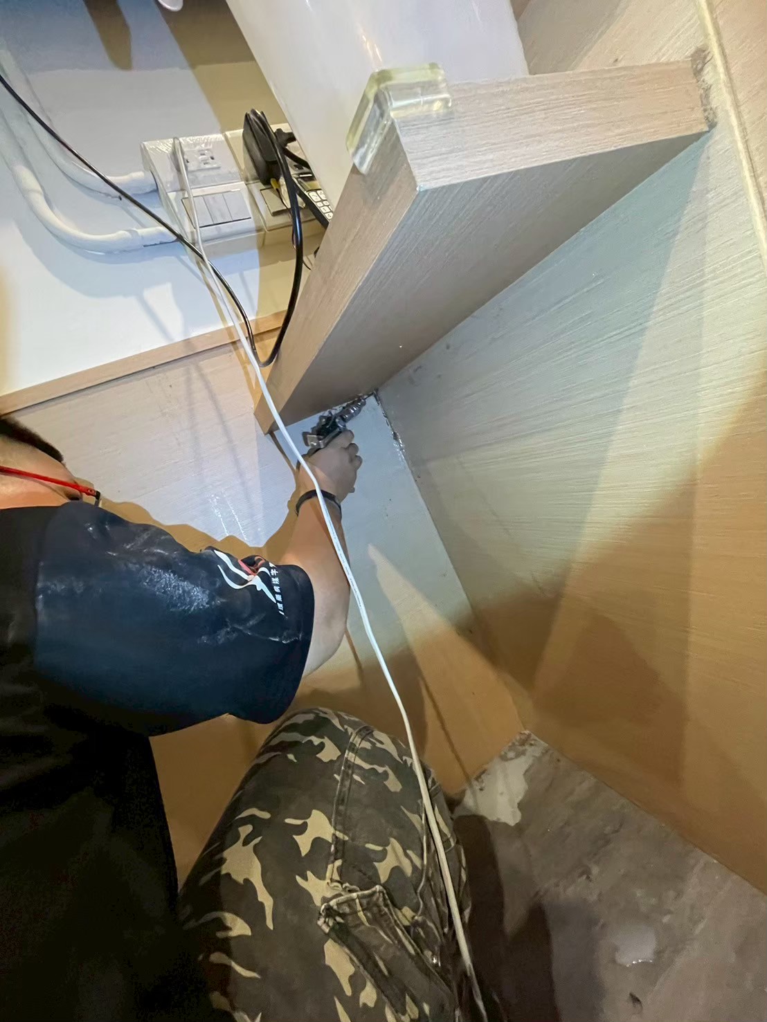 20250728_餐廳白蟻防治的第4張圖片